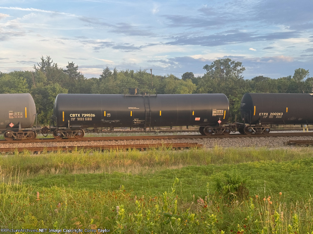 CBTX 739526